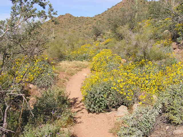 feature photo for guide