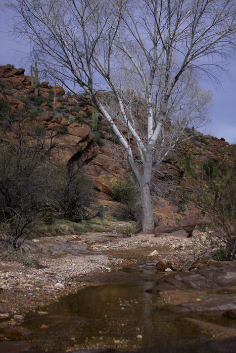 feature photo for guide