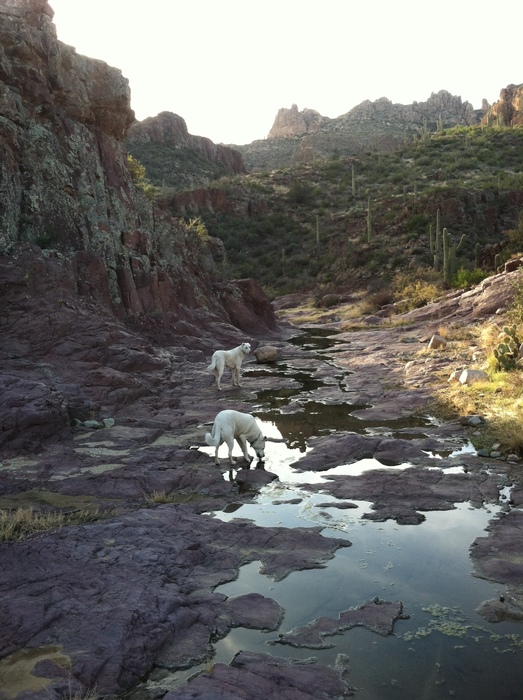 feature photo for guide