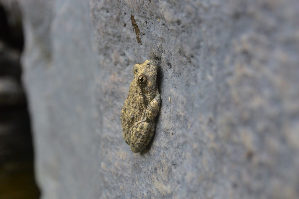 feature photo for guide