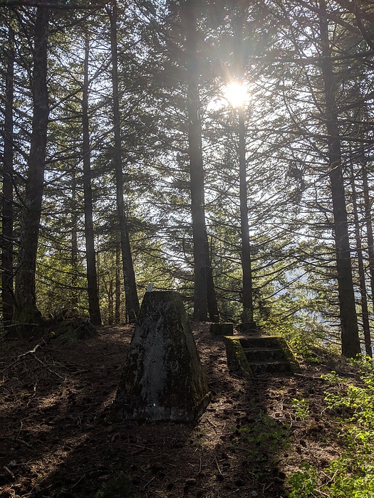 feature photo for guide