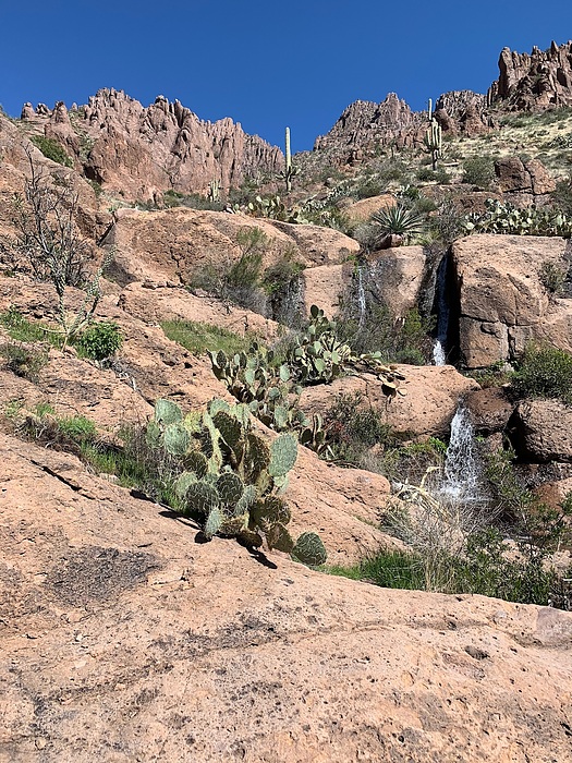 feature photo for guide