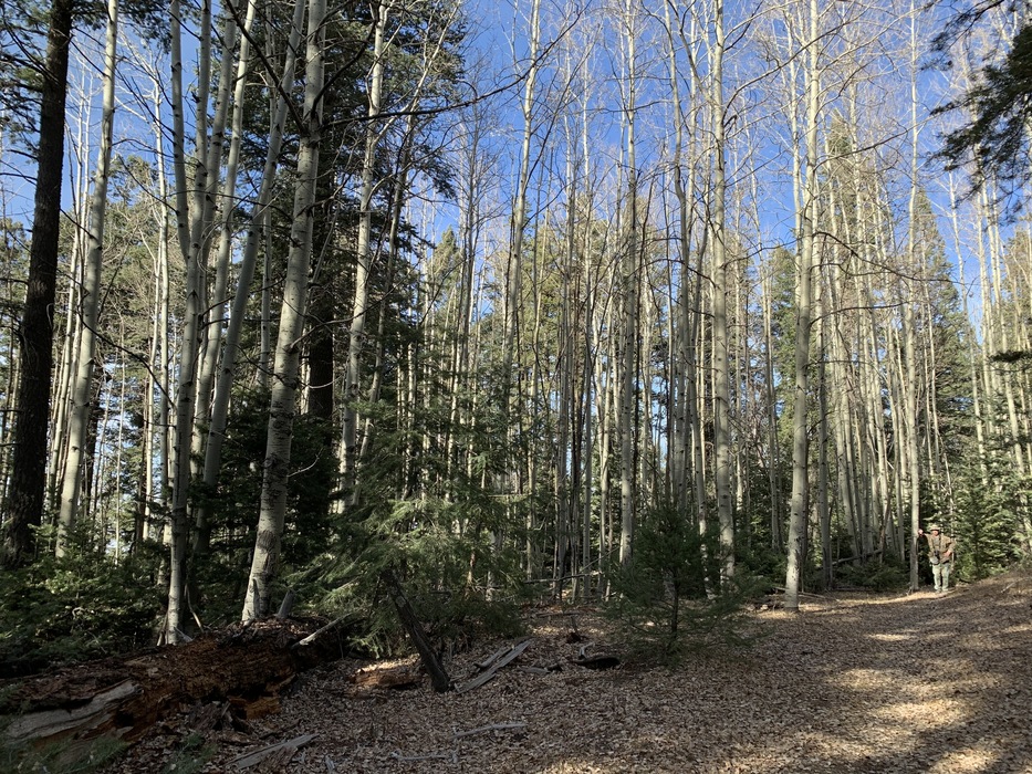 feature photo for guide