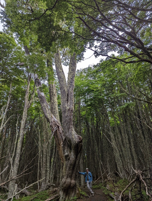 feature photo for guide