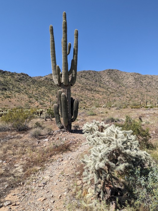 feature photo for guide