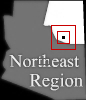 Expand Map