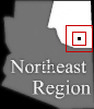 Expand Map