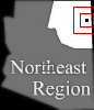 Expand Map