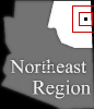 Expand Map