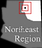 mini location map