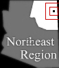 mini location map
