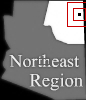 mini location map