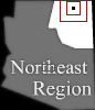 mini location map