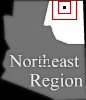 mini location map
