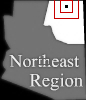 Expand Map
