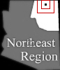 Expand Map