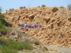 DSCN1434.JPG