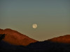 Morning Moon 12-19-2021.JPG