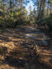 The road holds water near the cabin when it's dry below