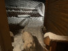 0E84FFF8-4FF9-48F0-AD6A-3108F373C536.jpeg