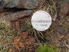 080408-0291-m.jpg