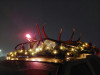 20221205_063552.jpg