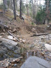20231115_084339.jpg
