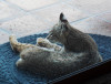 DSCN4619.JPG