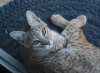 DSCN4625.JPG