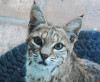 DSCN4627.JPG