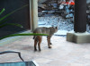 DSCN4628.JPG