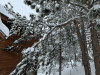 IMG_6236.jpeg