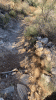 IMG_5656.gif