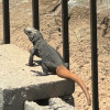 IMG_7933.jpeg