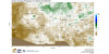 Percent of normal