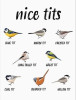 tits.jpg