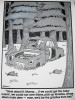 Cartoon bears hikers.jpg