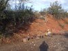 DSCF0546.JPG