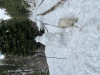 IMG_9705.jpeg