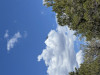 IMG_1413.jpeg