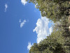 IMG_1412.jpeg