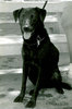 Paula 1998
