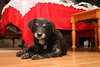 Paula Dec 2009