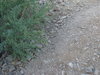 IMG_0153.jpg