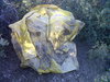 Found 6.19 miles from the Mormon Groove TH, on the Sheep Creek trail.