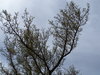 DSCN1322.JPG