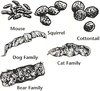 Scats.jpg