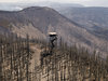 Escudilla Lookout