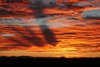 sunrise80010-31-11_1387.jpg