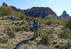 P1060746 copy.jpg